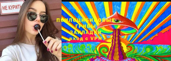 стаф Белокуриха