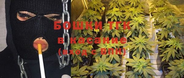 стаф Белокуриха