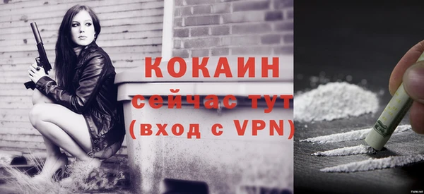стаф Белокуриха